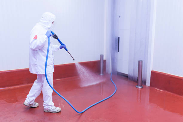 Trusted Fritz Creek, AK Pressure Washing Services Experts